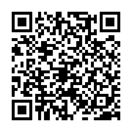 QR code for ZJW5993