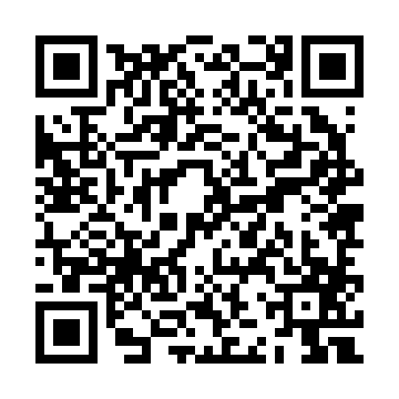 QR code for ZJZ2873