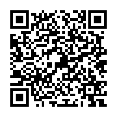 QR code for ZJZ4374