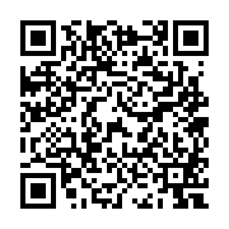 QR code for ZKC3815