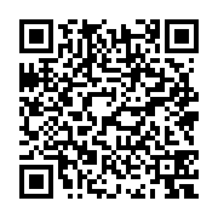 QR code for ZKM7382