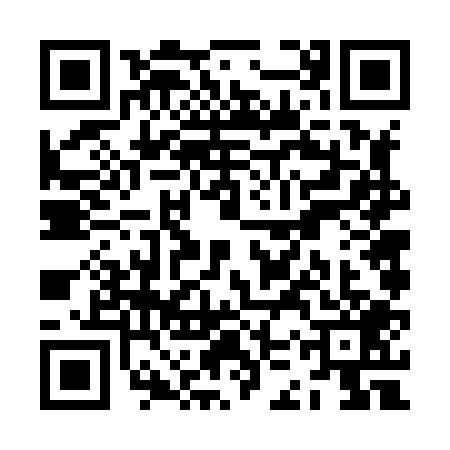 QR code for ZKV8091