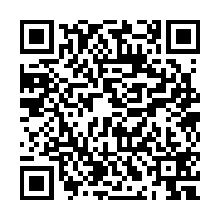 QR code for ZLC3196