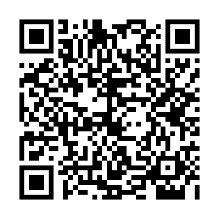 QR code for ZLM4209