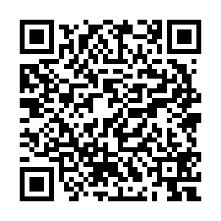 QR code for ZLM6196
