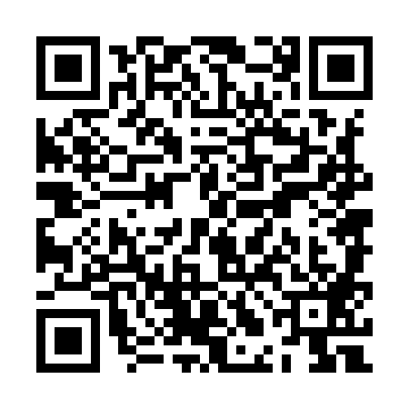 QR code for ZLN9891