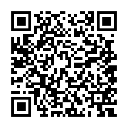 QR code for ZLV0511