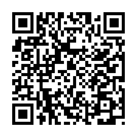 QR code for ZLX9508