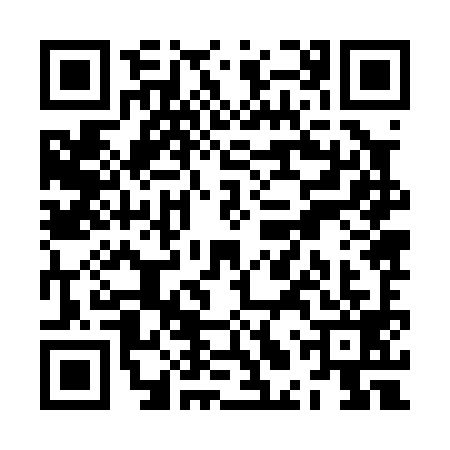 QR code for ZLZ0996