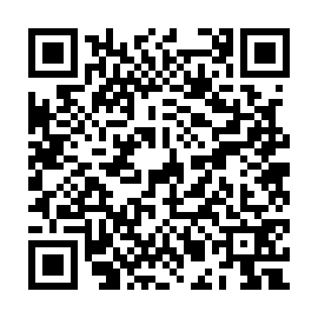 QR code for ZMB1729
