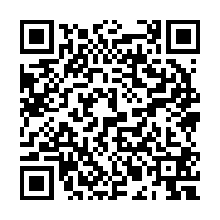 QR code for ZMI2006