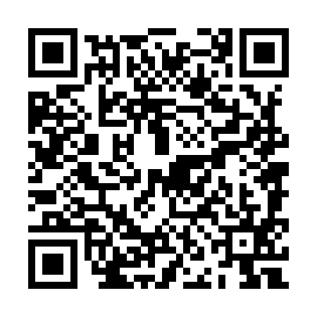 QR code for ZNN9952