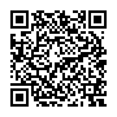 QR code for ZNO2006