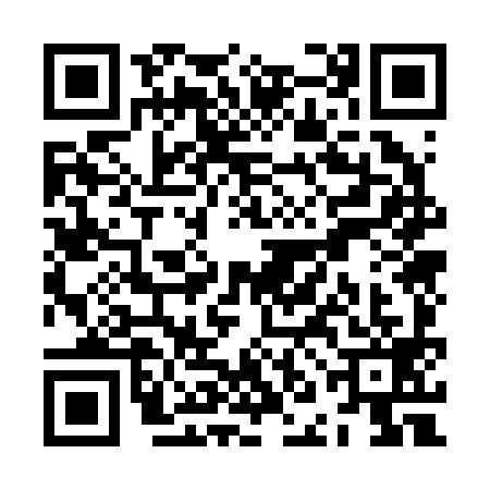 QR code for ZNO2993