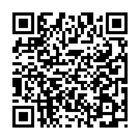 QR code for ZNP9656