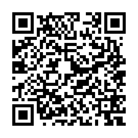 QR code for ZNZ6685