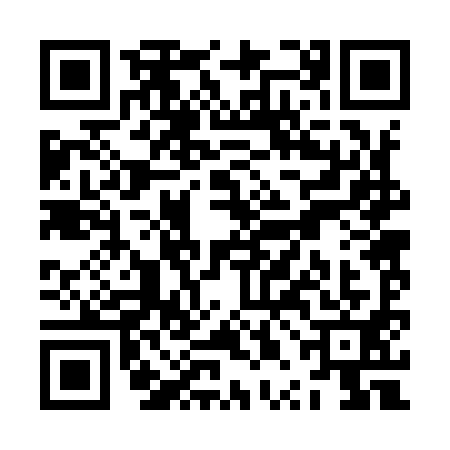 QR code for ZPB9916