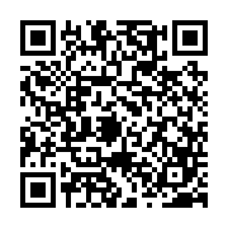 QR code for ZPI2463