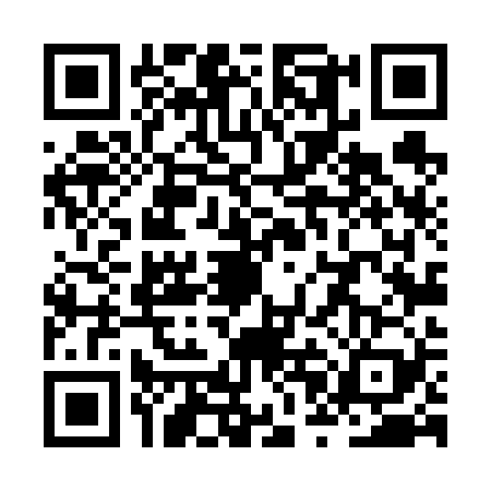 QR code for ZPL6290