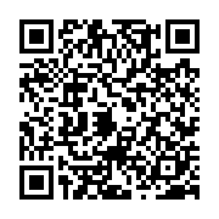 QR code for ZPN7009