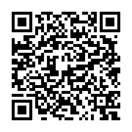 QR code for ZPP4313