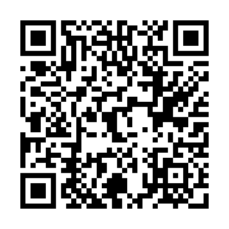 QR code for ZPT3311