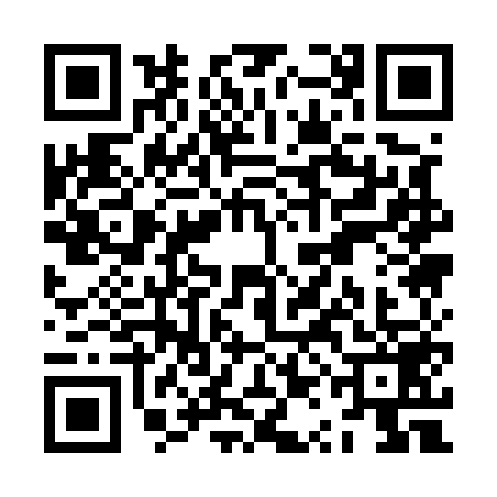 QR code for ZQA5594