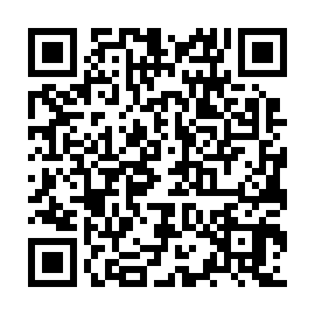 QR code for ZQG2009
