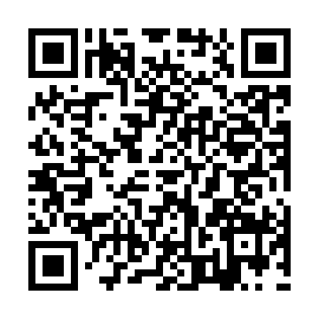 QR code for ZRL9991