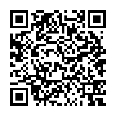 QR code for ZRN2393