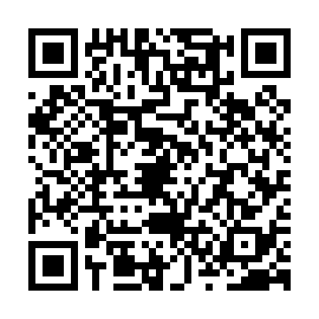 QR code for ZSG0384