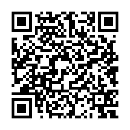 QR code for ZST1353
