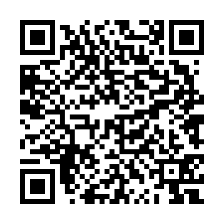 QR code for ZTD6313