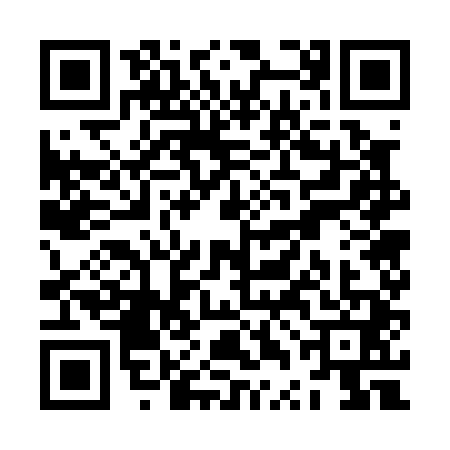 QR code for ZTG0419