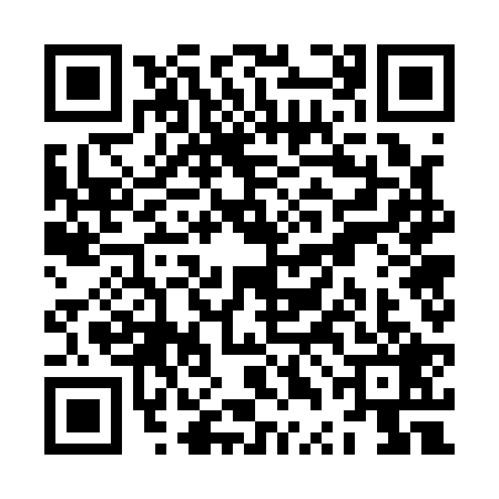 QR code for ZTG1293
