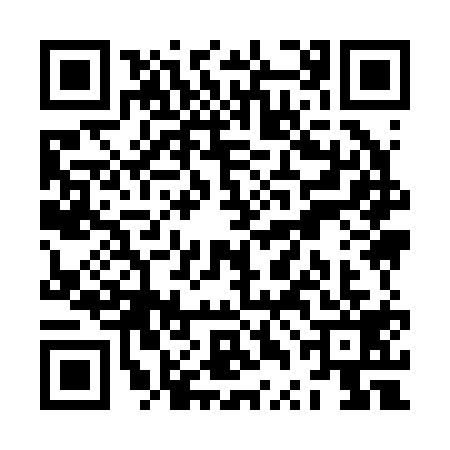 QR code for ZTI2196