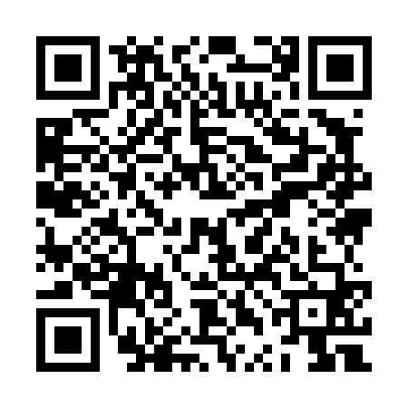 QR code for ZTI4602