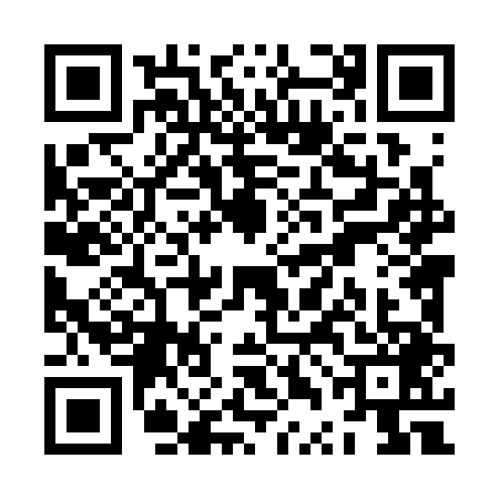 QR code for ZTL3491