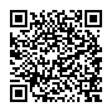 QR code for ZTN2489