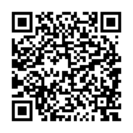 QR code for ZTN2871