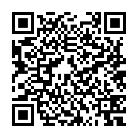 QR code for ZTR9396