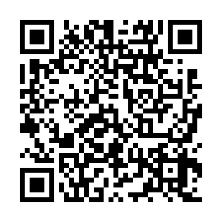 QR code for ZTX6384