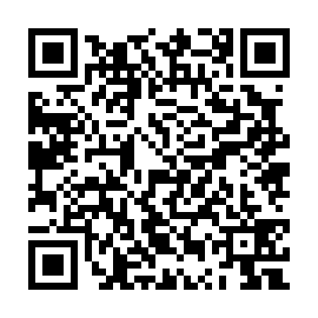 QR code for ZUZ0393
