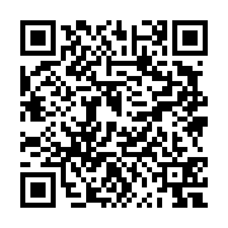 QR code for ZVI4313