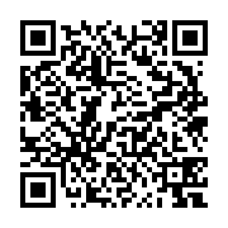 QR code for ZVK6382
