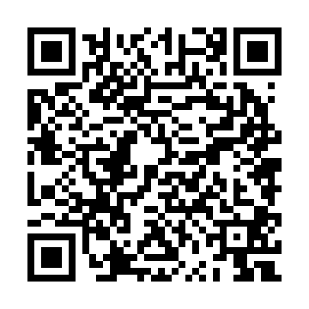 QR code for ZVN2007
