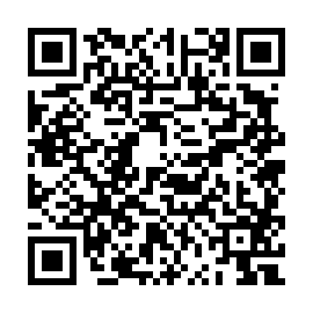 QR code for ZVO4863