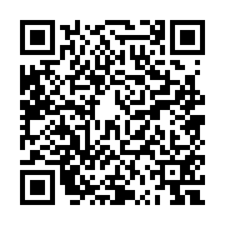 QR code for ZVP3510
