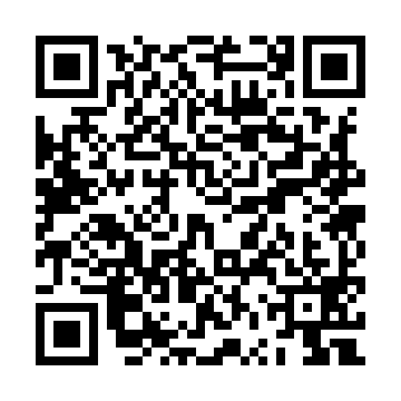 QR code for ZVS9991