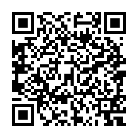 QR code for ZVX2919